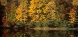 Fall at Breckenridge Resevoir